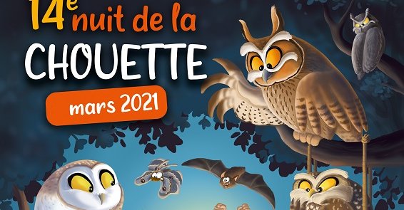 Nuit de la chouette 2021 - (en ligne mais comme si vous y étiez !)