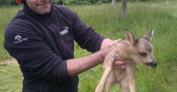 L'instant biodiversité du 27 mai