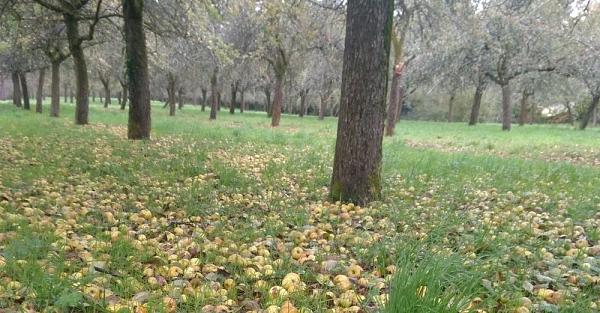 E Brezhoneg - En breton dans le texte "Fonnus" / "Divonn"