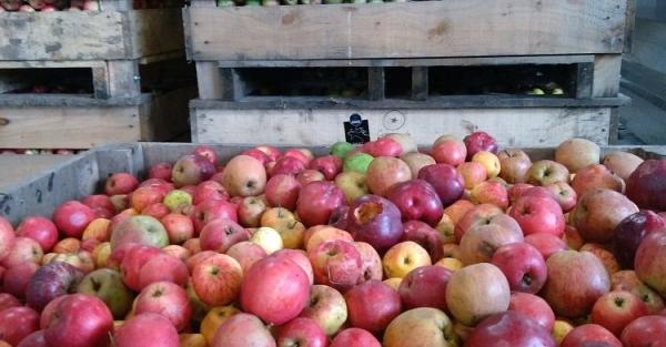 Cuvée de la Presqu'île 2020 #1